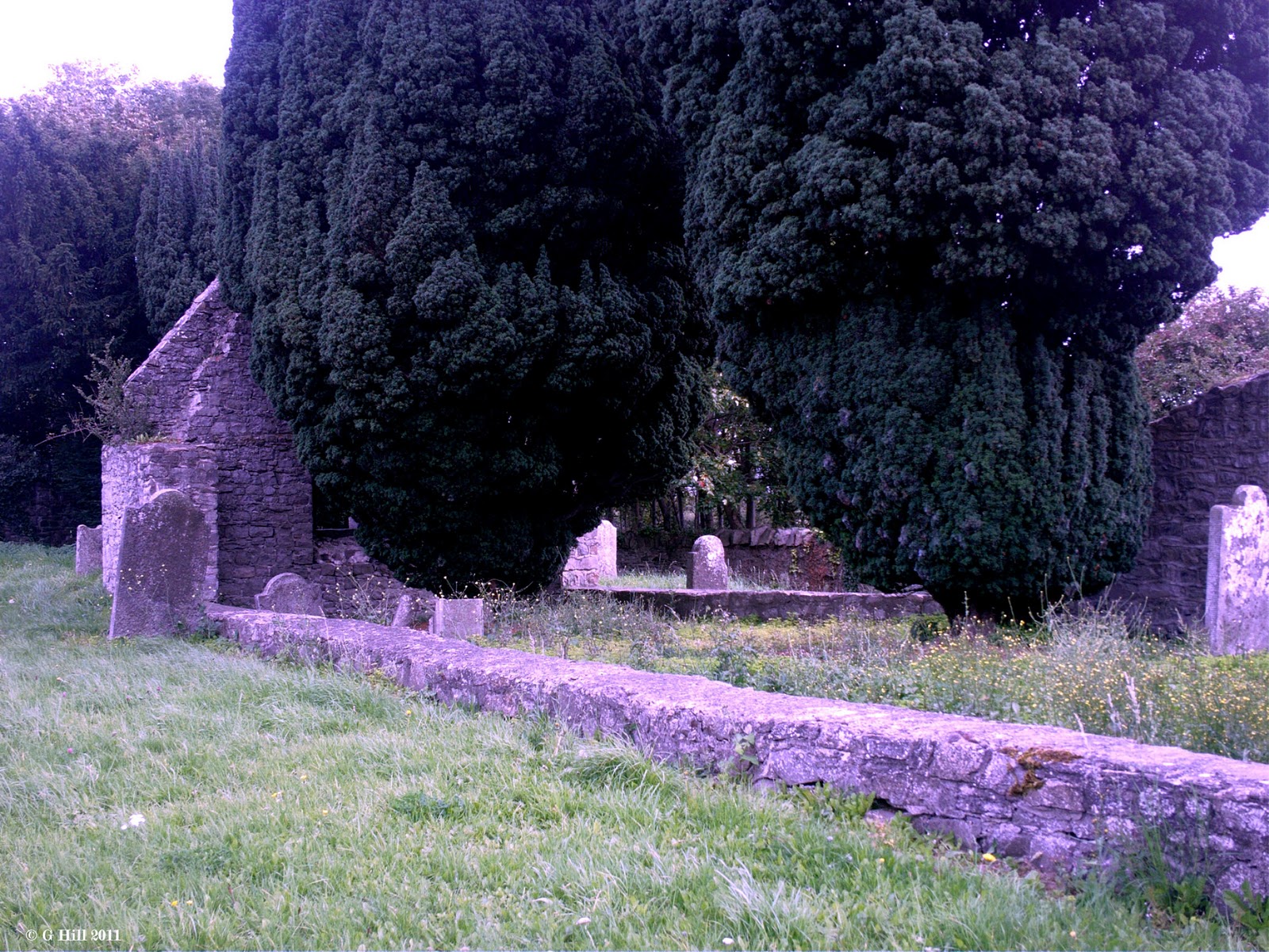 Ireland In Ruins Old Templeogue Church Co Dublin