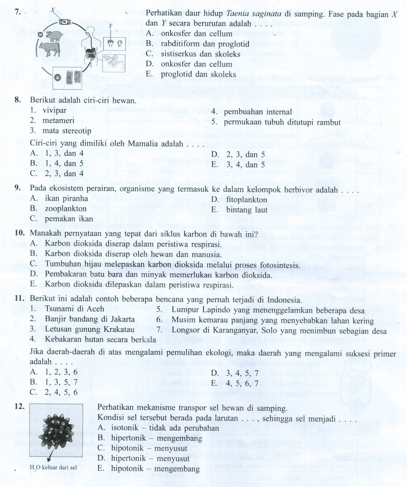 soal essay biologi tentang sel soal essay biologi tentang sel