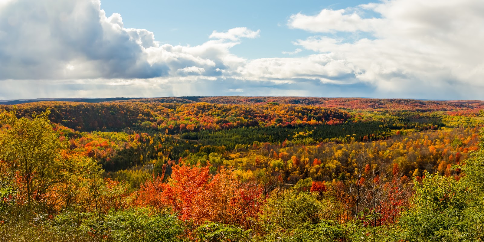 Steve Q Photo Michigan Fall Color 2012 Day 1 Grayling, Lake Margrethe