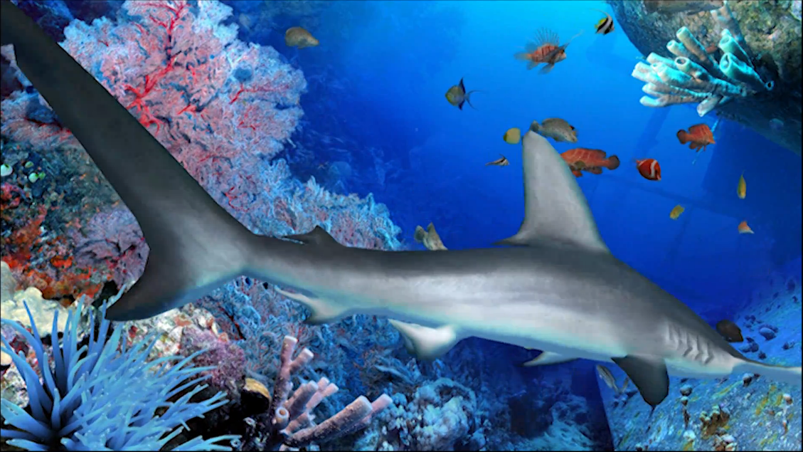 Wallpapers En 3d En Movimiento Imagui