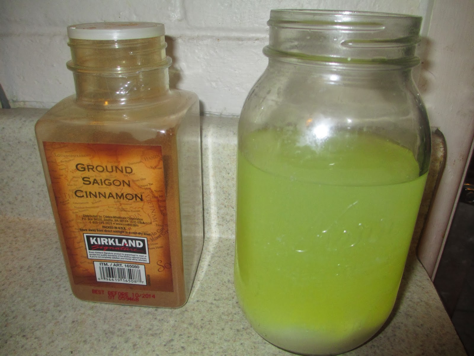 Creativity in the Kitchen LactoFermented Dehydrated Applesauce Fruit