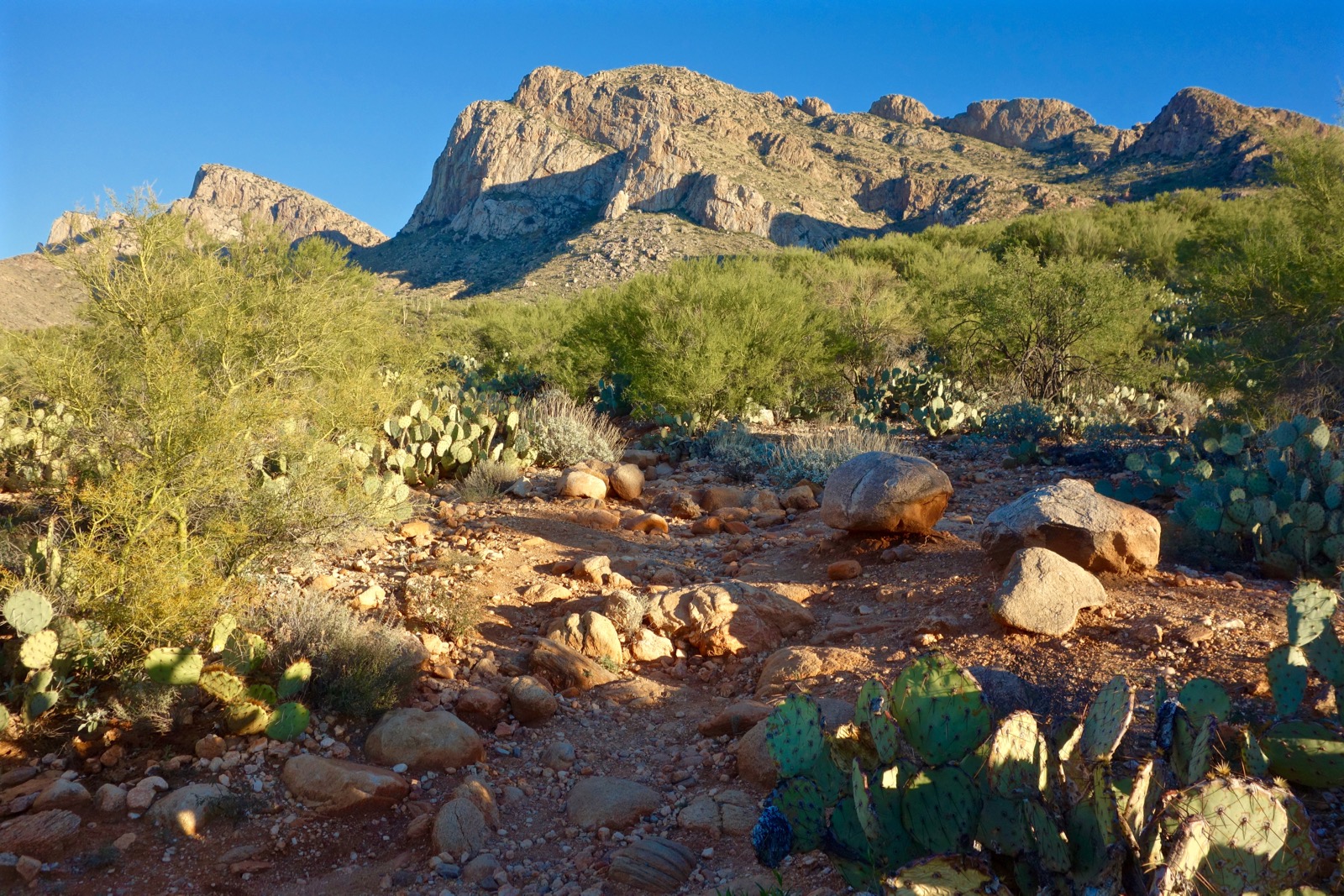 Earthline The American West Pusch Peak, 5,361', Pusch Ridge Wilderness