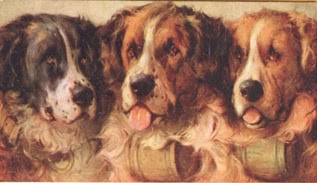 Brandykegs Saint Bernards