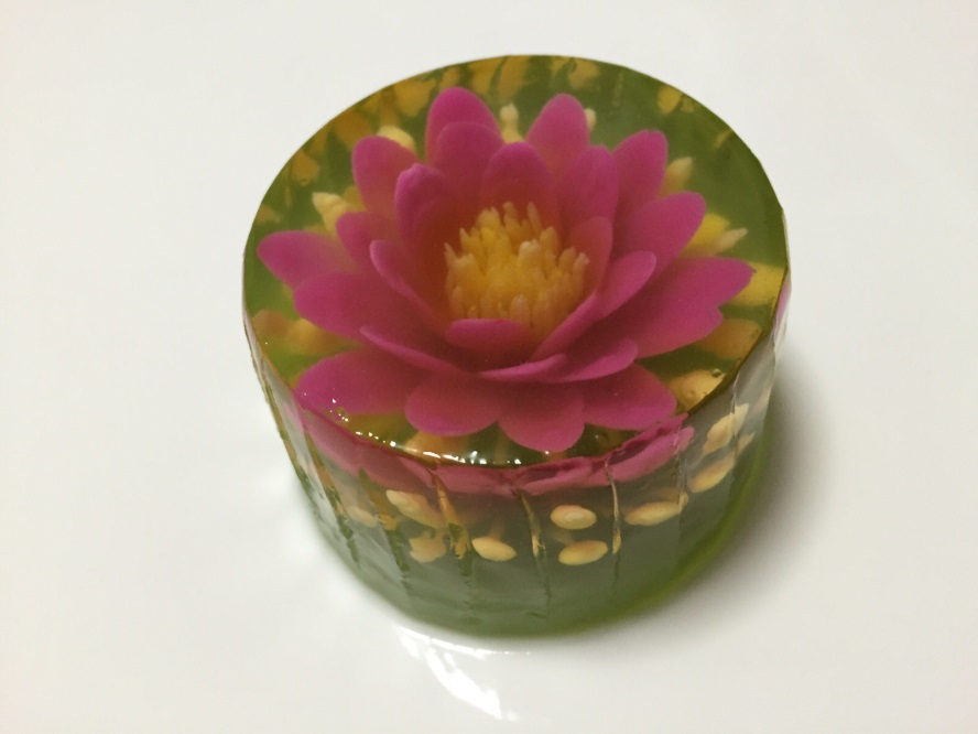 Yochana s Cake Delight! : Jelly Art