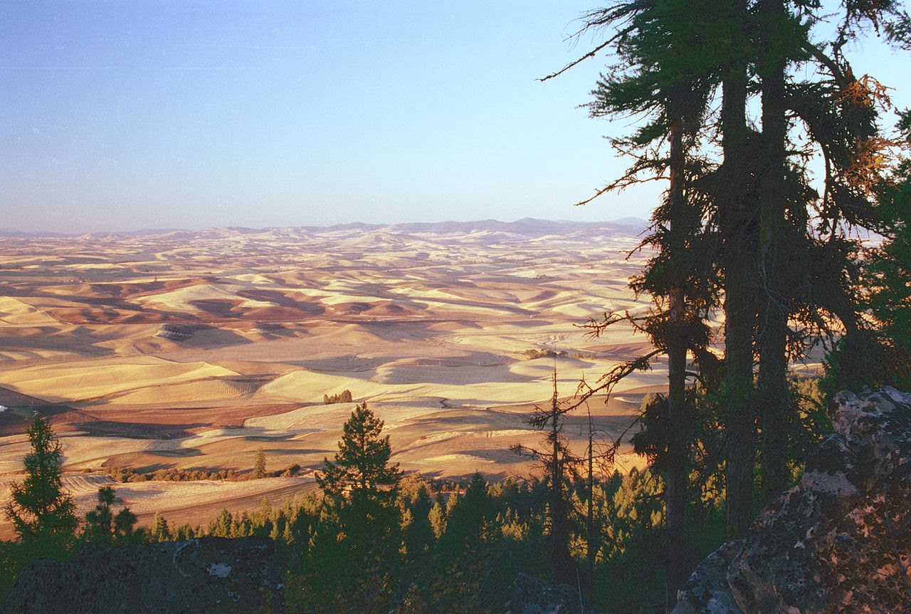 In the Company of Plants and Rocks How the Palouse was Lost
