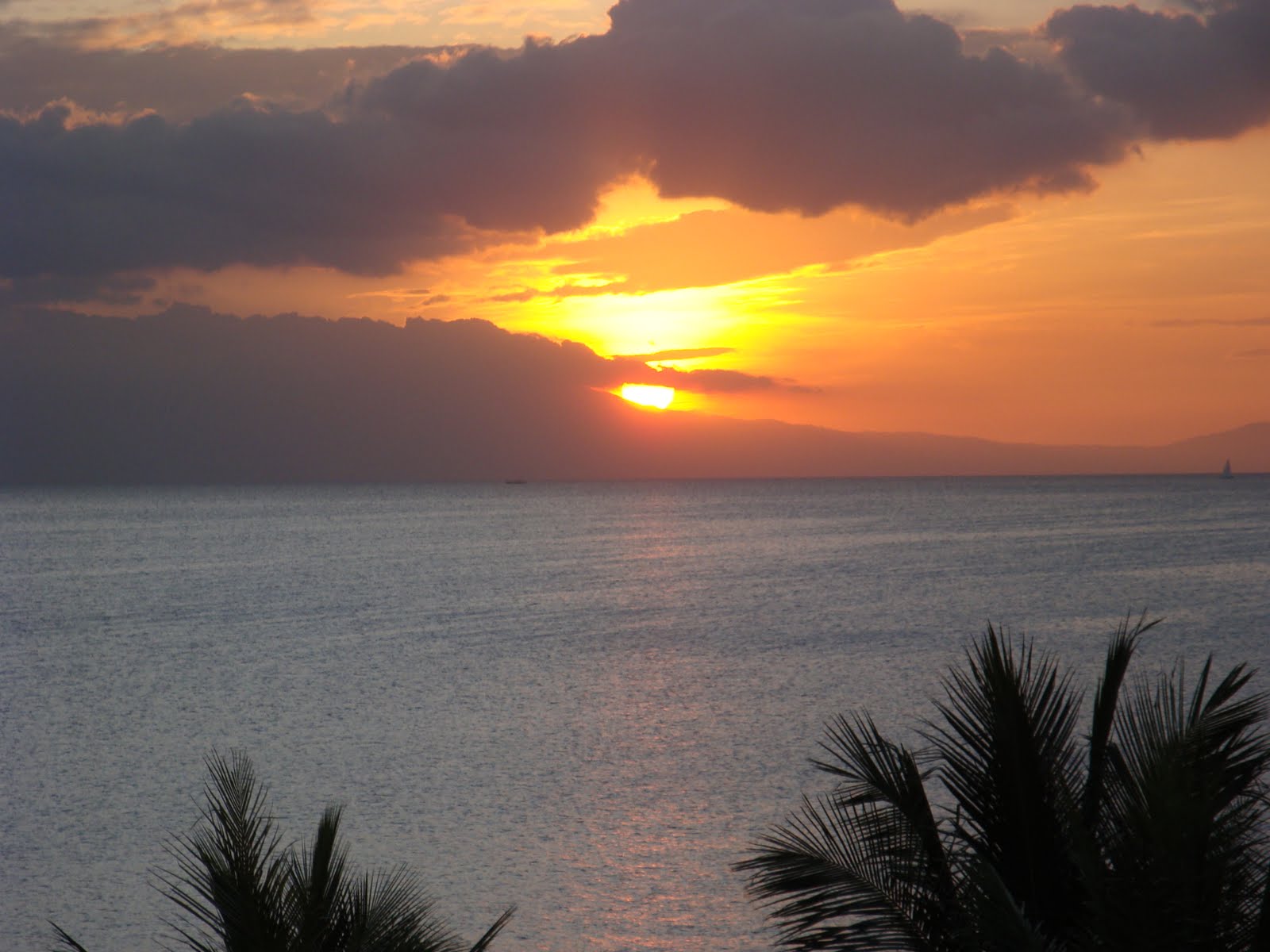 coach classic 570-7777