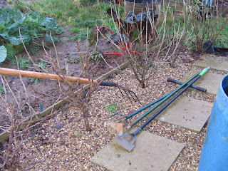 tools outside the shed