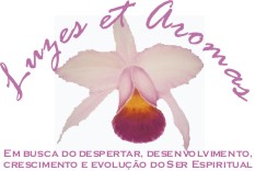 Luzes et Aromas