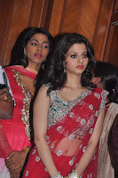Bollywood and Tollywood acress Vedhika cute, sexy, hot, in red saree, spicy, sizzling, masala pic, image gallery