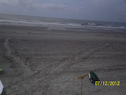 NORTH MYRTLE BEACH SEA TURTLE PATROL: NMB Nest .