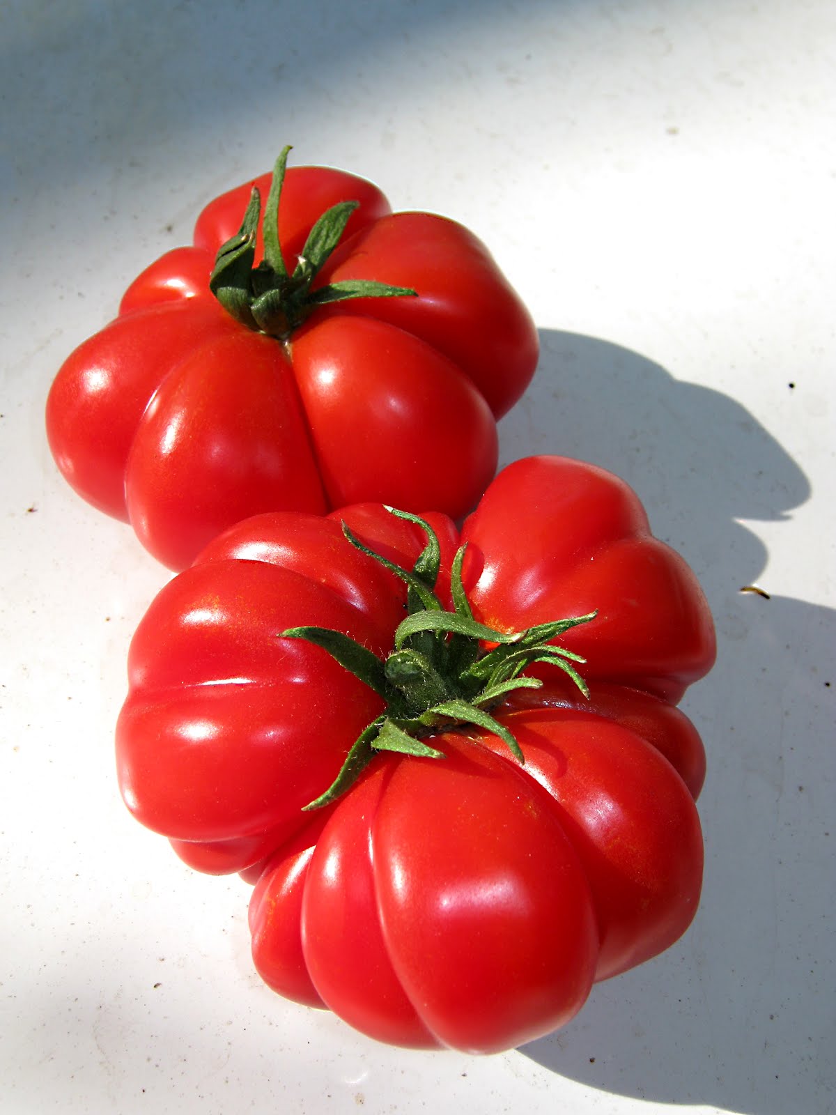 Redwood Barn Nursery Tomato Season Just Around The Corner