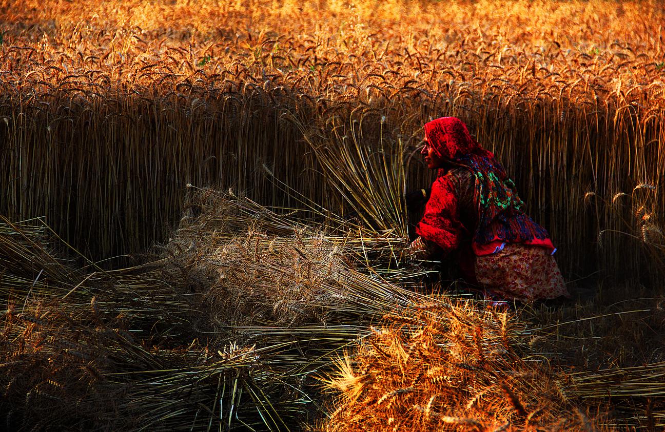 http://1.bp.blogspot.com/-3E_E-B8yh24/Tji26C08lKI/AAAAAAAAAFU/rdeSDBCFmRA/s1600/True+Villages+-+Beautiful+Desktop+Wallpapers+%25284%2529.jpg