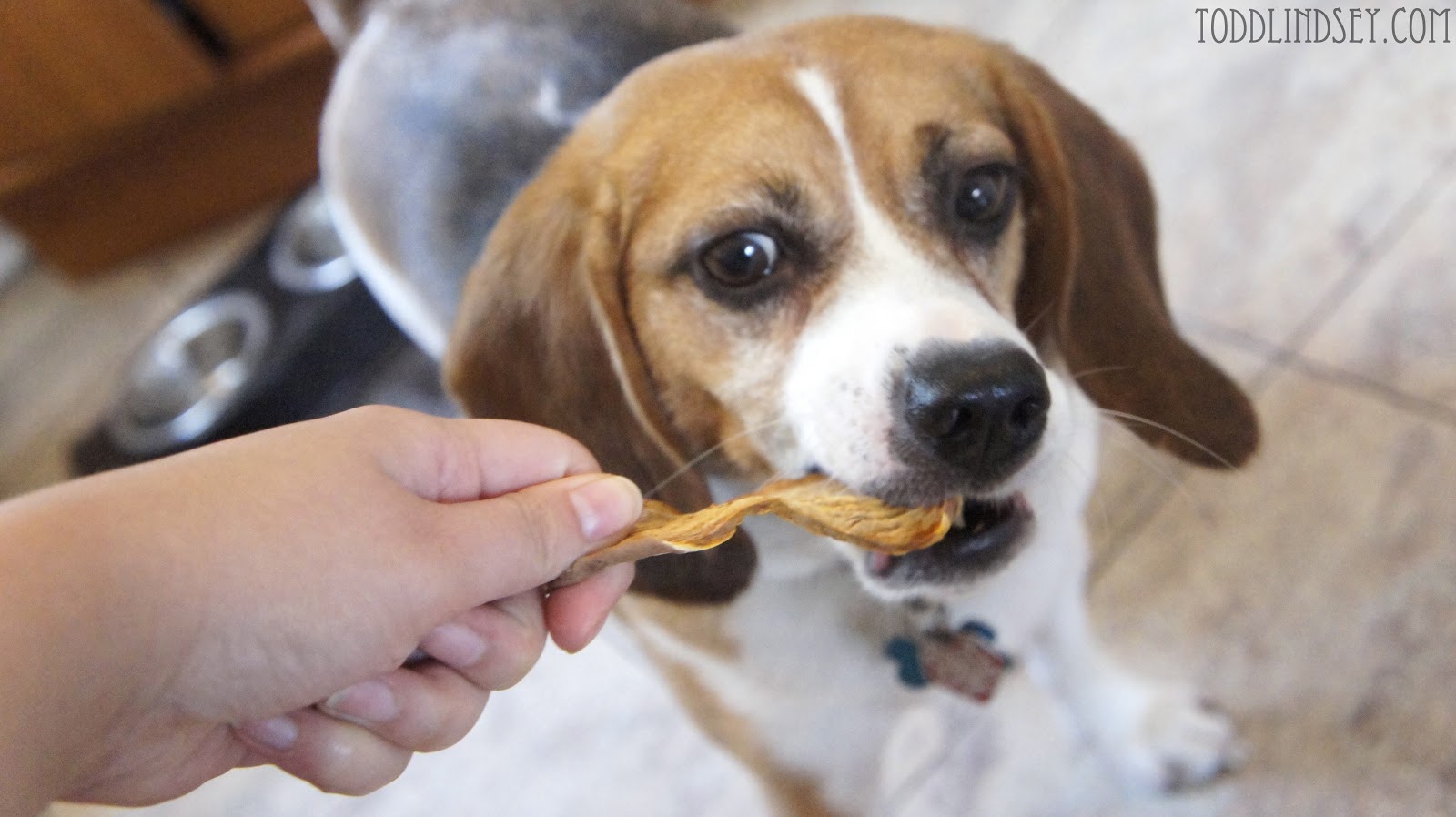 potato puppy domer home sweet potato chews potato puppy domer home sweet potato chews