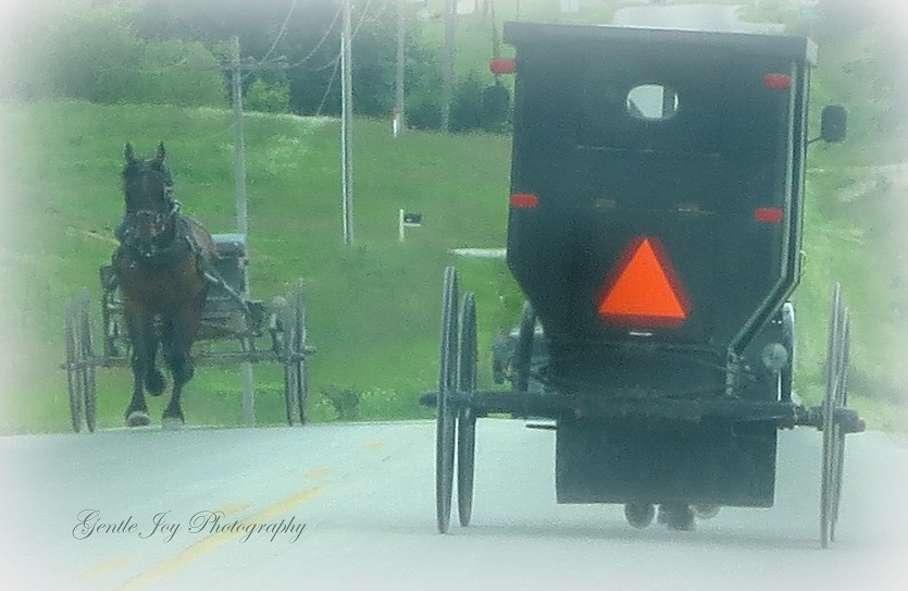 amish-salvage-store-near-me