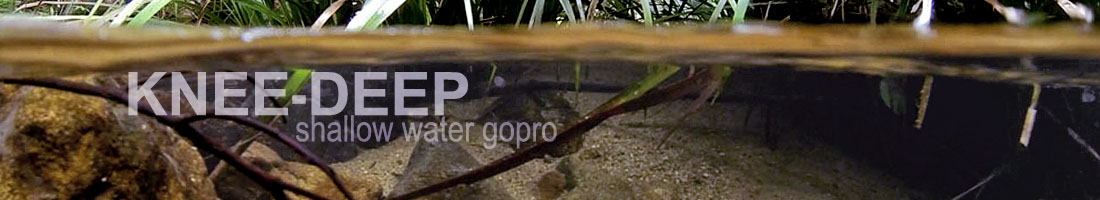 Knee-deep video: shallow water gopro