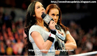 Sad New: WWE Divas Champion AJ Lee Finished With WWE After Survivor Series 2014