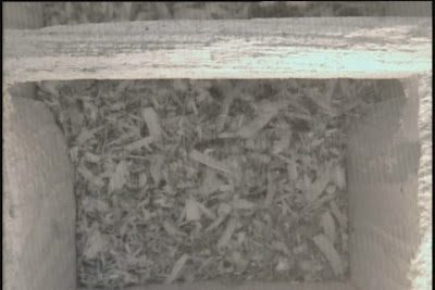 Empty Screech Owl Nest Box