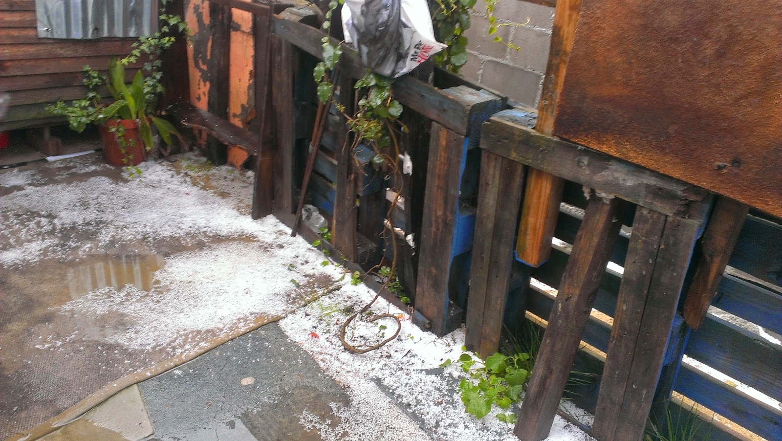 Res I P An Unprofessional Science And Other Things Blog