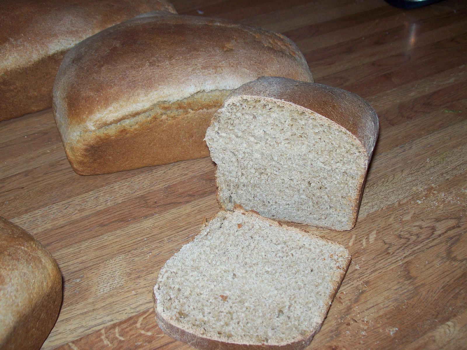 StoutSistersSixteen Awesome soaked whole wheat bread recipe