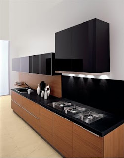 Modern Kitchen Cabinets Pictures