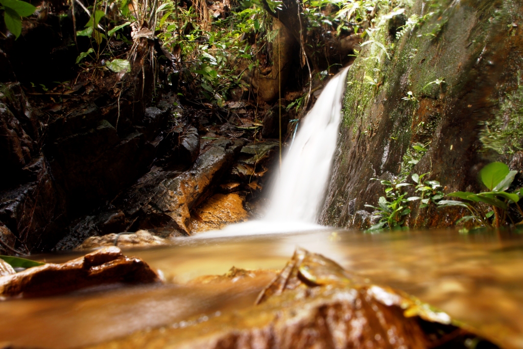 Inilah Ekspedisi Gunung Djadi "Gunung Pertama" di Riau - Kompasiana.com