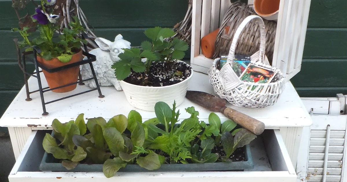 Ash Tree Cottage My Herb Garden Potting Bench
