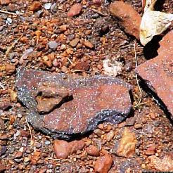 Descoberto ferro em tete Descoberto ferro em tete