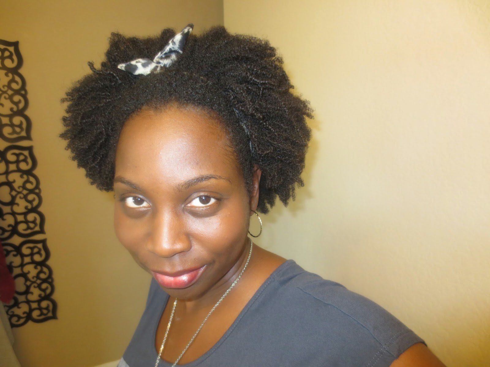 Wash and Go 4B 4C Natural Hair with Flaxseed Gel