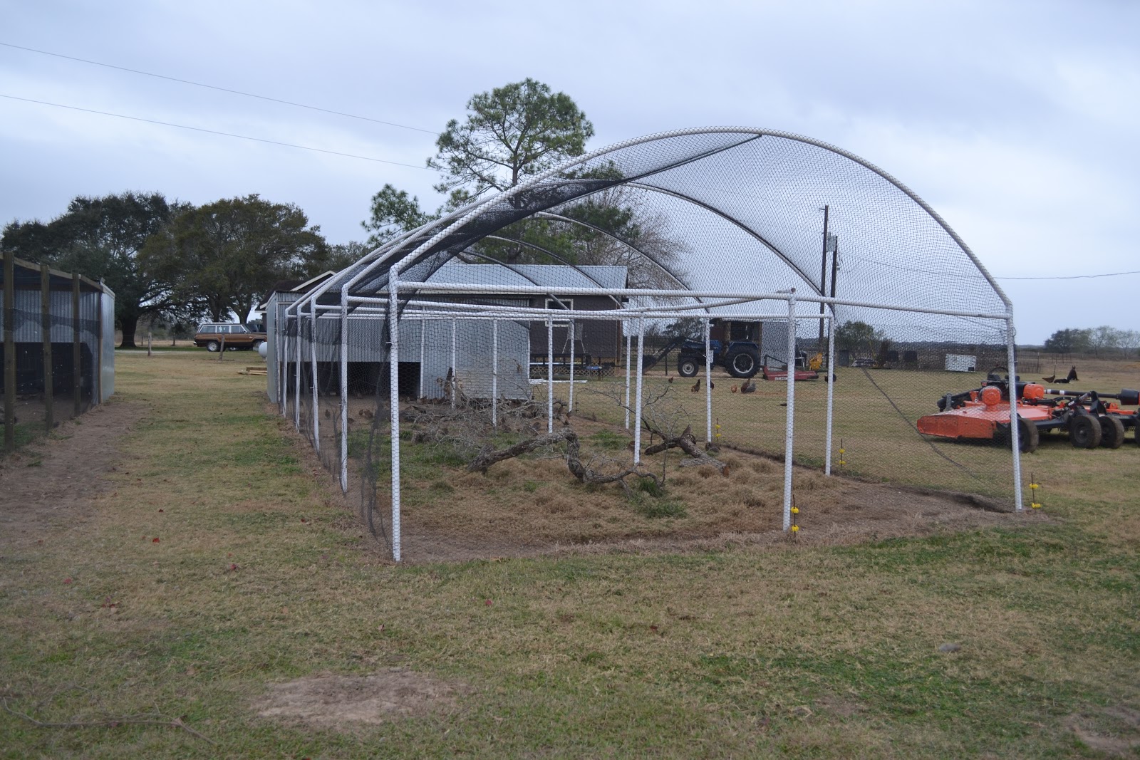 CARANCAHUA CREEK GIANTS