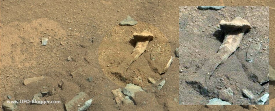 http://1.bp.blogspot.com/-3IXdMD6BHuQ/VEA52tgRsTI/AAAAAAAAHwE/DiqdwTl54f0/s1600/nasa-curiosity-photographed-fossilized-thigh-bone-on-mars.jpg