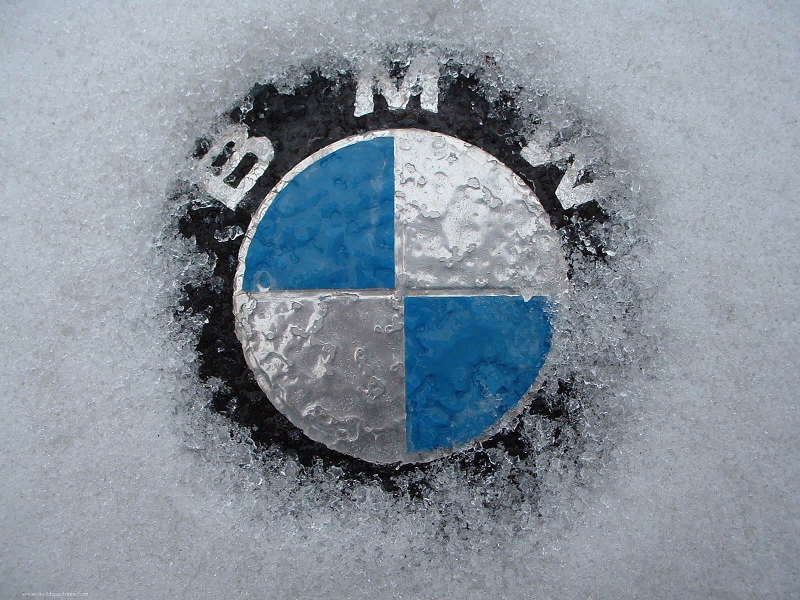 BMW Logo