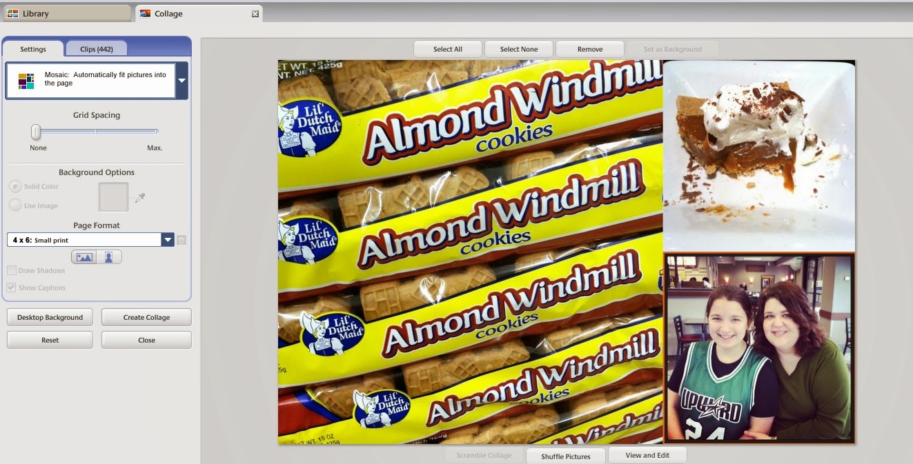 making a 4x4 picture on a 4x6 canvas in picasa