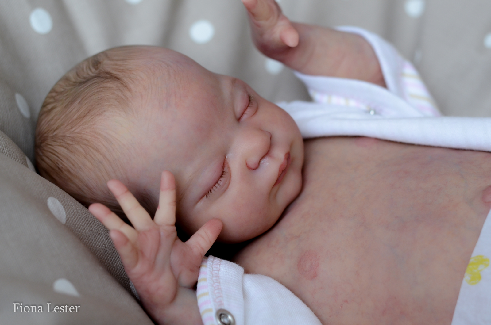 rosie by laura lee eagles