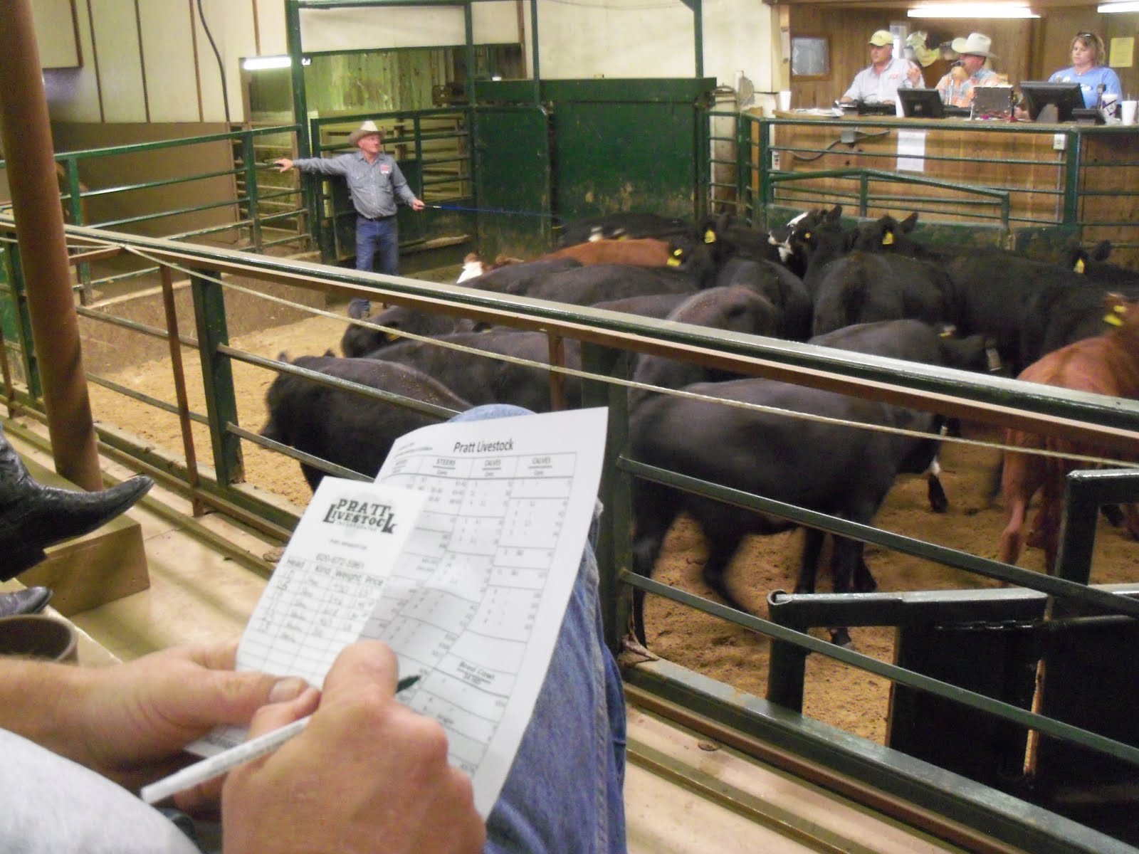 Kim S County Line Going Going Gone