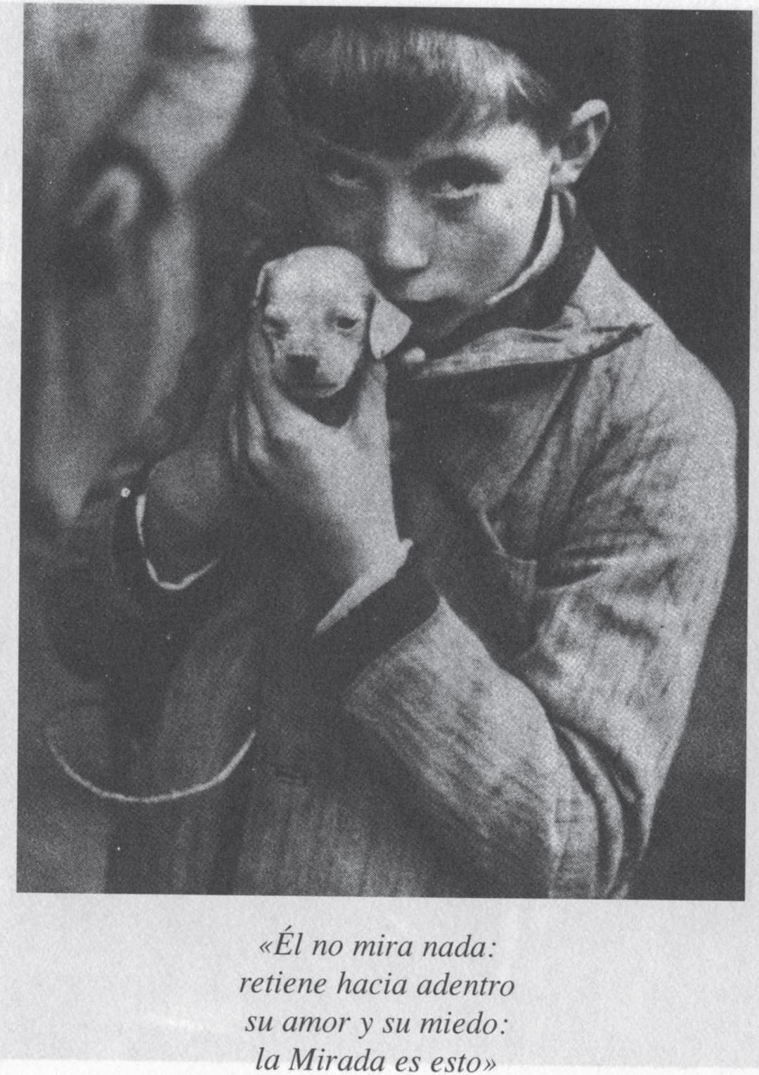 Fotografía, videoarte y arte digital Roland Barthes La cámara lúcida