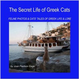 the secret life of greek cats
