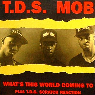 T.D.S. Mob ‎– What’s This World Coming To / T.D.S. Scratch Reaction (VLS) (1989) (320 kbps)