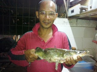 Ikan Baung, B.Bestari Jaya