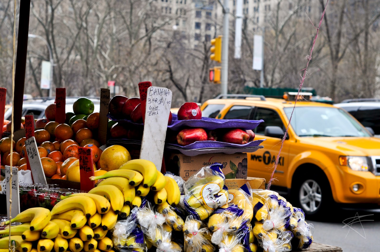 New York Photo Now: Foods in the streets of NYC