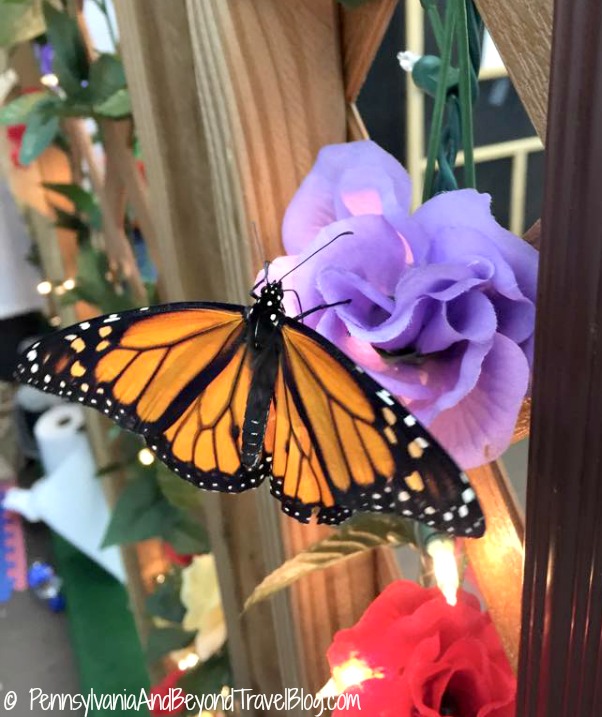 Pennsylvania & Beyond Travel Blog Folk's Butterfly Farm at the