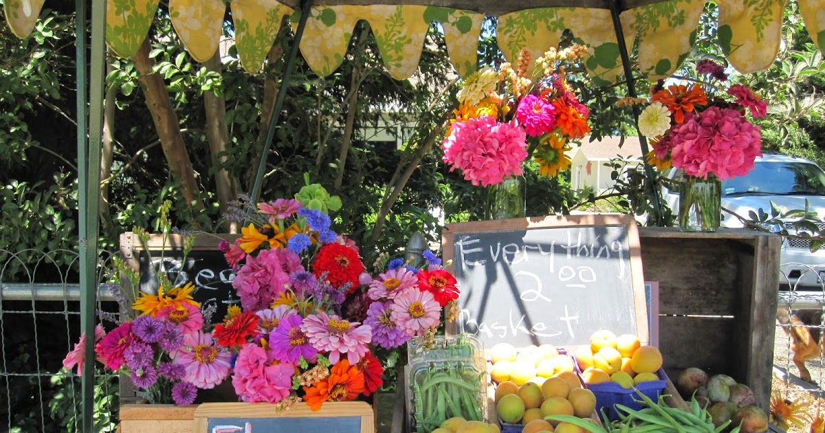 Windmill Farm Roadside Fruit StandsYou Would Love To Stop And Buy Produce