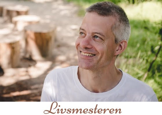 Livsmesteren - Robert Södergren