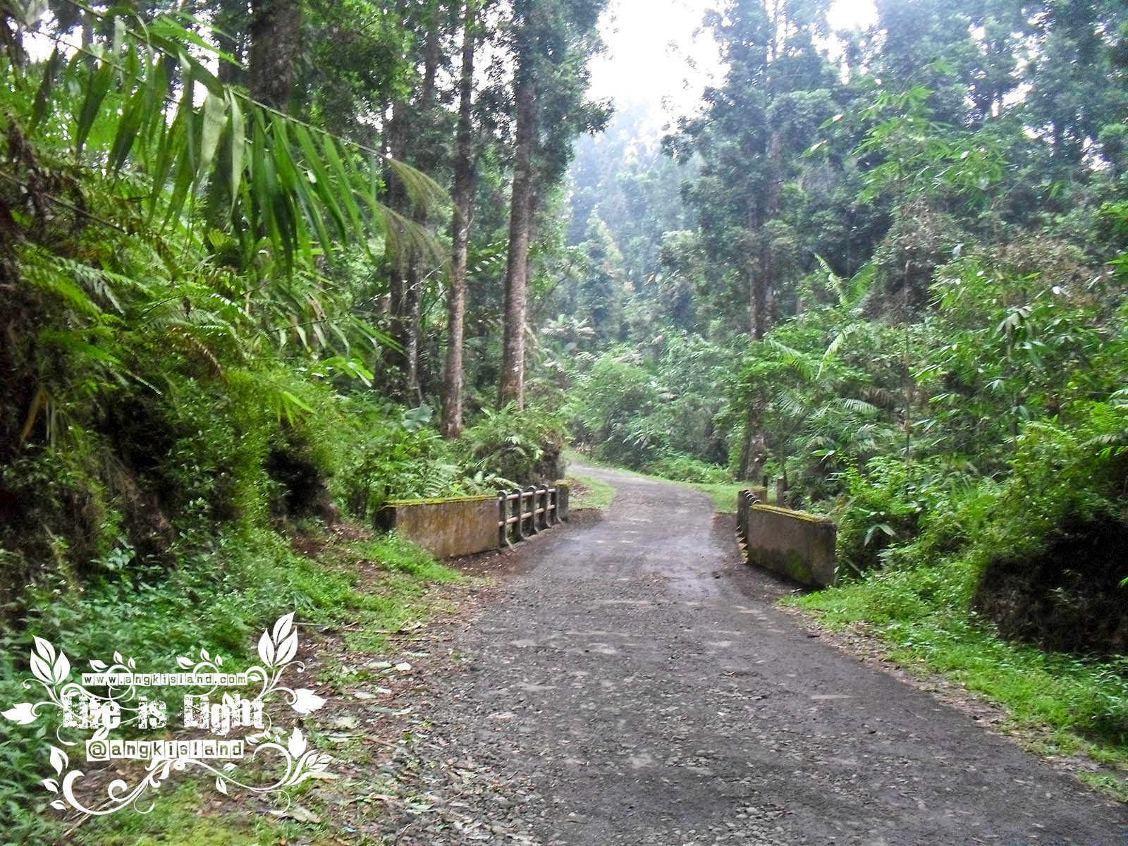 keheningan baturraden sepi