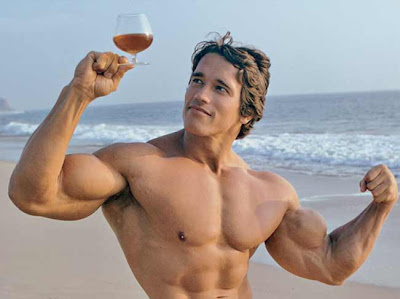 arnold schwarzenegger body