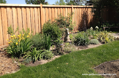 Perennial garden before cleanup