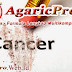Obat Herbal Penyakit Kanker
