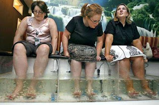 fish pedicure