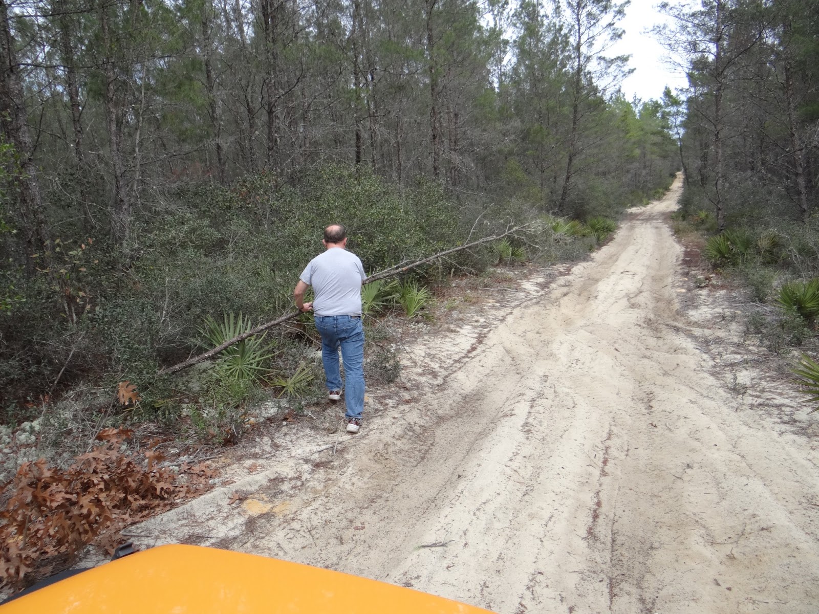 Walkabout With Wheels Blog Off Roading in Ocala National Forest