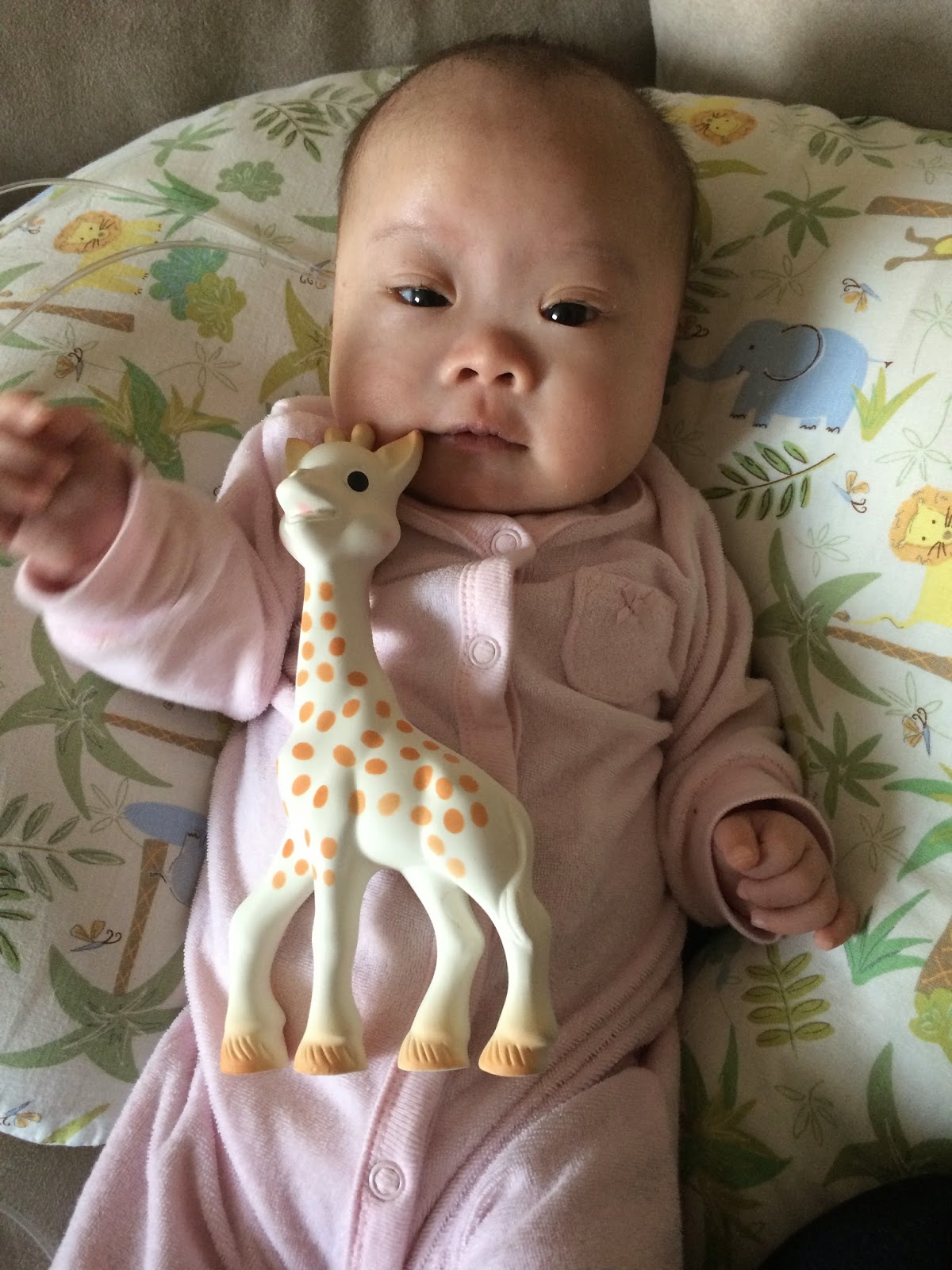Why is Sophie the Giraffe so awesome?!