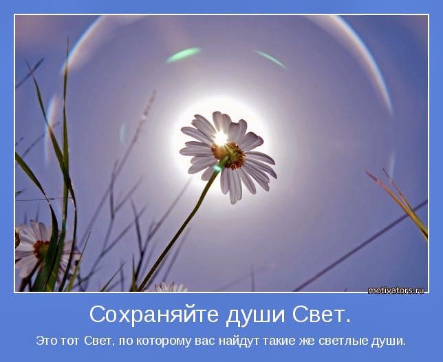 Стих на свете есть добрые люди Стих на свете есть добрые люди